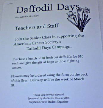 daffodils flyer